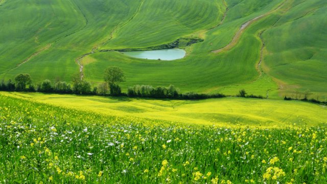 225_le crete senesi_tema libero